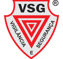 1VSG